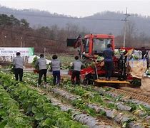 Đi Làm Việc Thời Vụ Ở Hàn Quốc 2024 Hậu Giang Mỹ Thuật Công Nghiệp