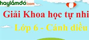 Khoa Học Tự Nhiên Lớp 6 Cánh Diều Trang 29