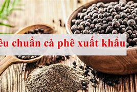 Tiêu Chuẩn Hạt Cà Phê Xuất Khẩu